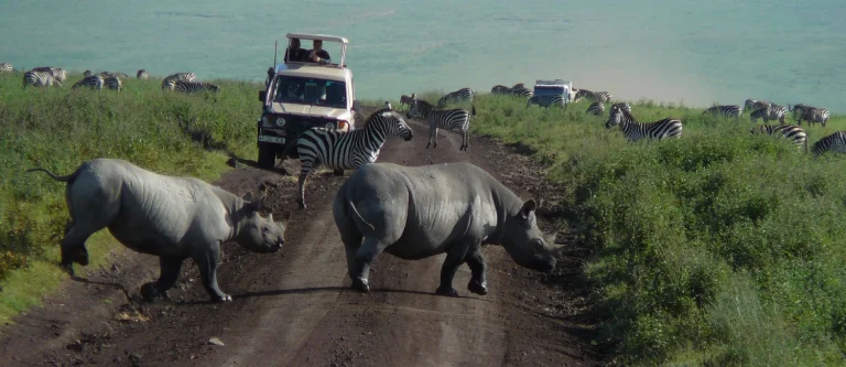 Cratère du Ngorongoro.