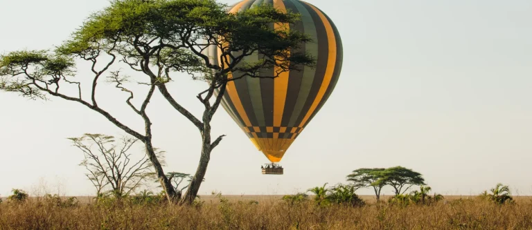 Forfaits de safaris aériens au Kenya