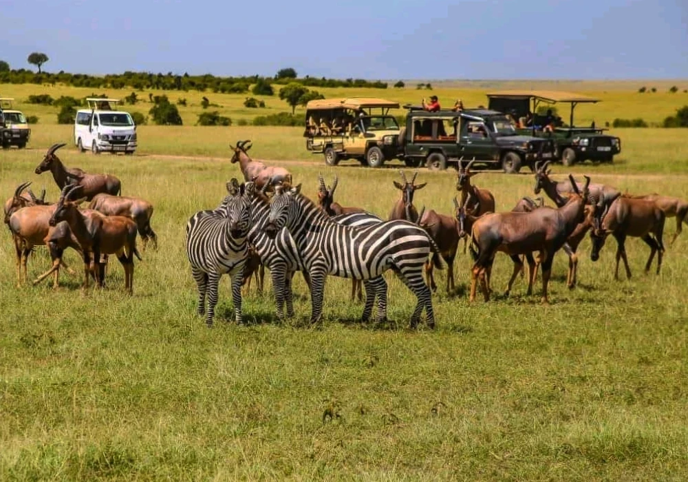 Tarangire National Park