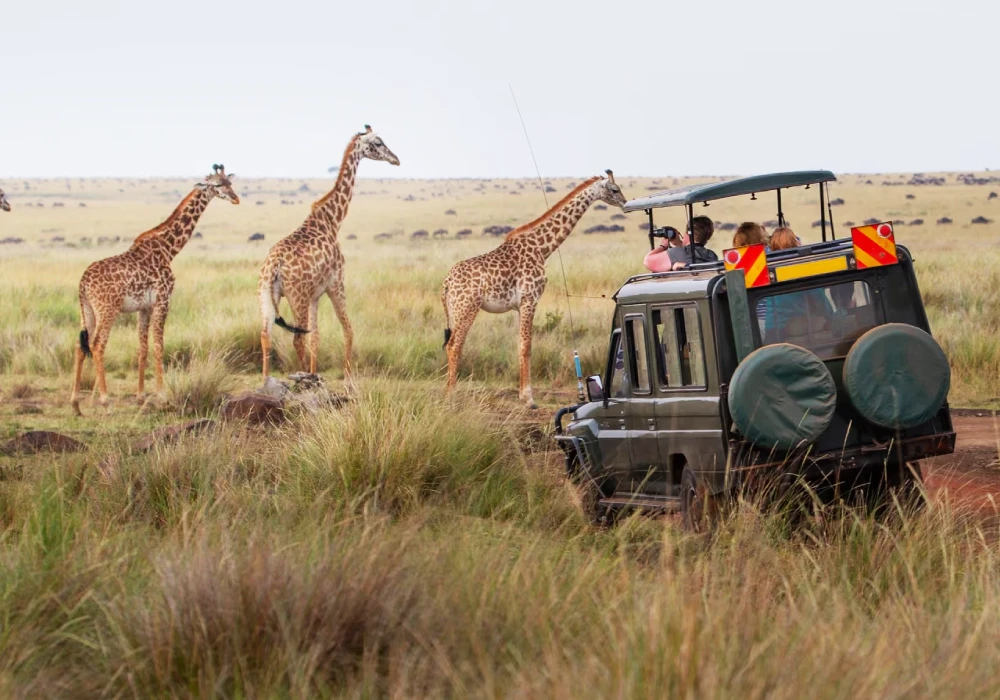 Guide de Voyage au Kenya