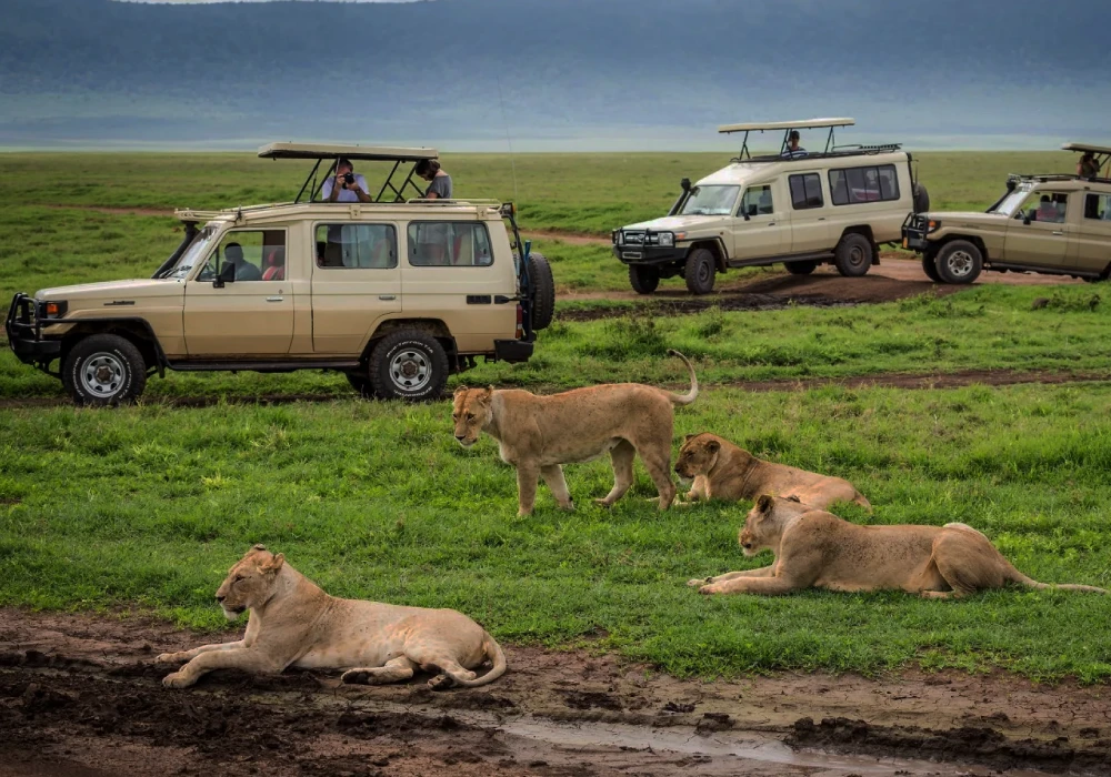 Itinéraire safari - Kenya