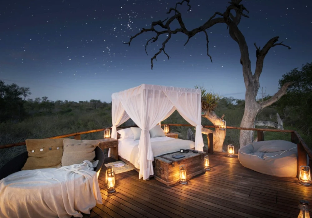 Kenya safari honeymoon..