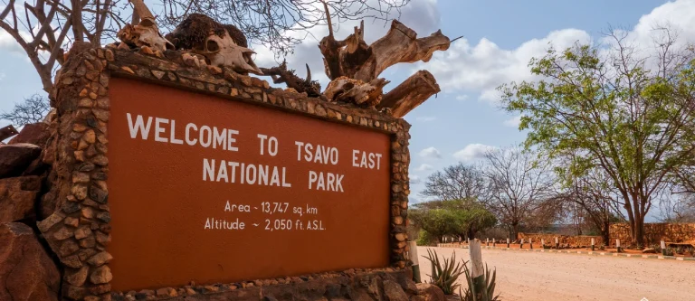 Meilleurs parcs nationaux du Kenya