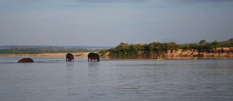Parc national de Nyerere