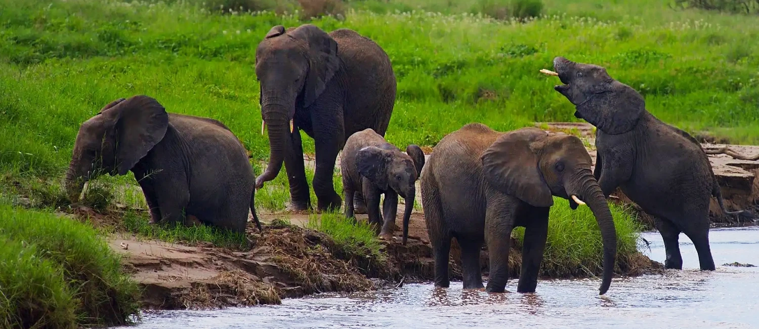 Safari Lodge de 2 Jours à Tarangire et Ngorongoro