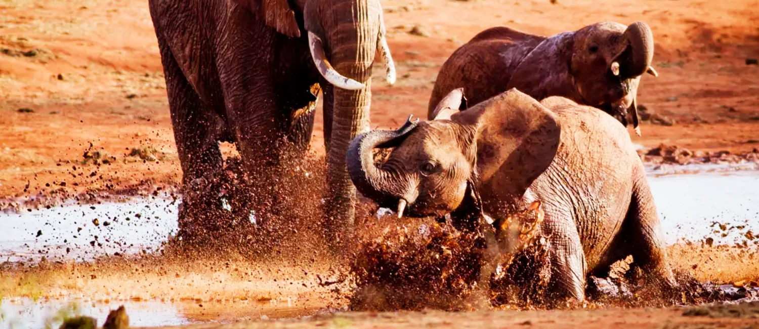 Parc National de Tsavo Est