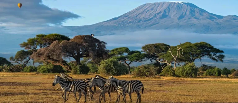 Safari de 3 jours au parc national d’Amboseli