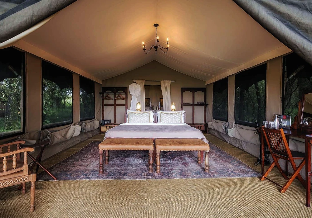 Safaris au Kenya à Petit Budget