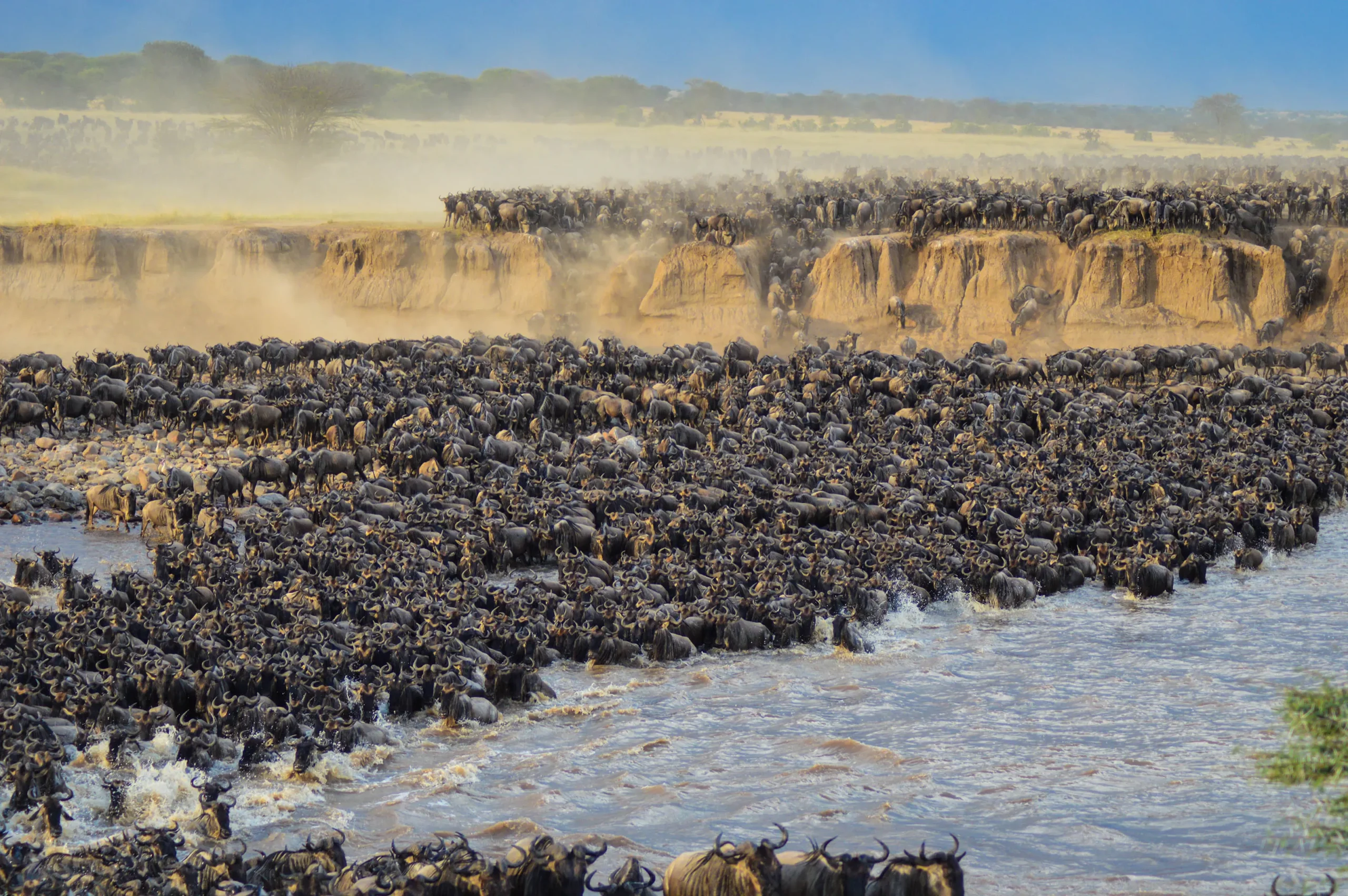 Parc National du Serengeti