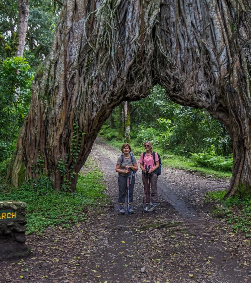 Arusha- National Park