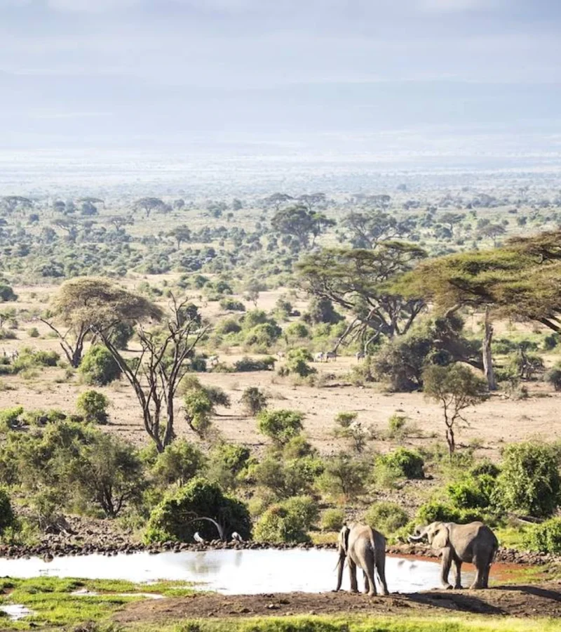 Bienvenue au Parc National d’Amboseli