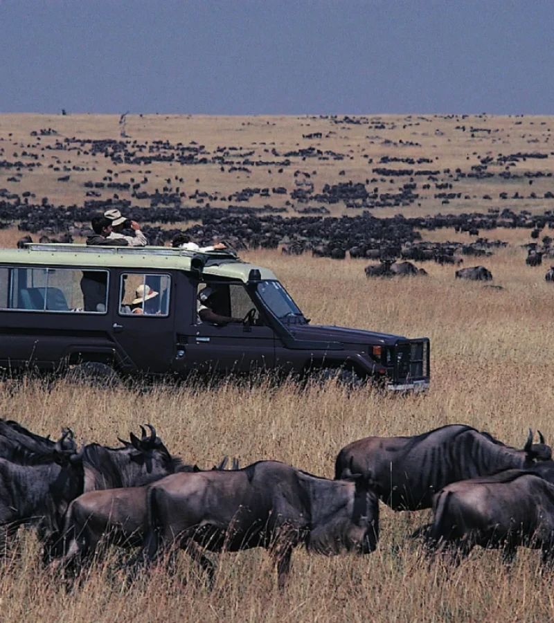 Réserve Nationale du - Maasai Mara